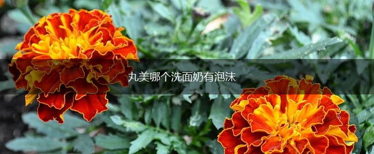 丸美哪个洗面奶有泡沫,第1张