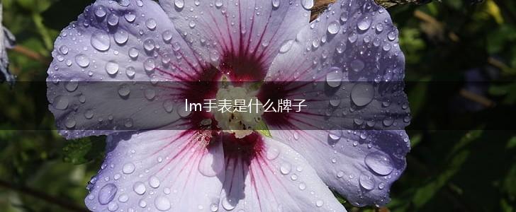 lm手表是什么牌子,第1张