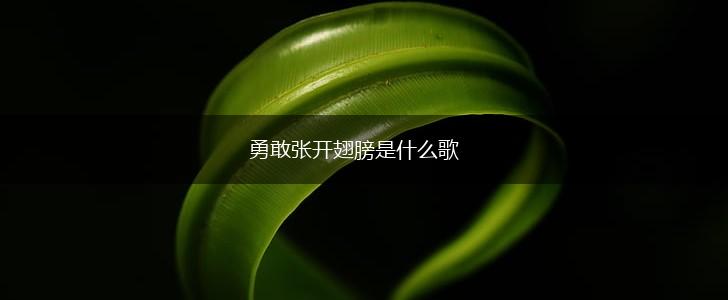勇敢张开翅膀是什么歌,第1张