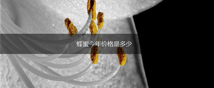 蜂蜜今年价格是多少,第1张