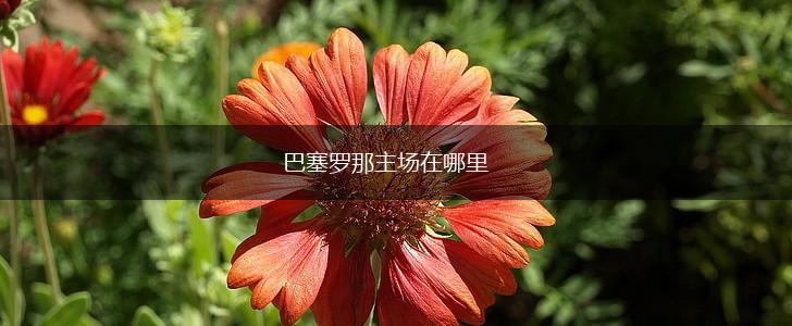 巴塞罗那主场在哪里,第1张