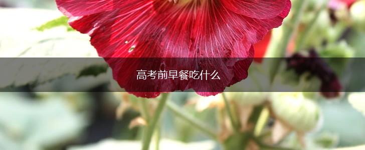 高考前早餐吃什么,第1张