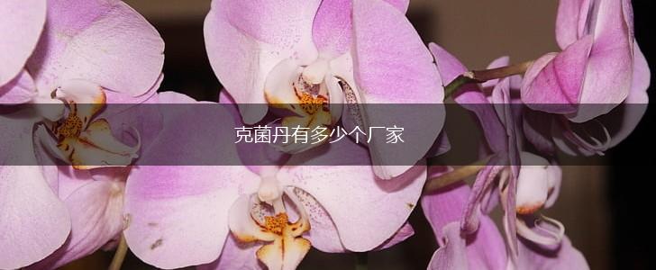 克菌丹有多少个厂家,第1张