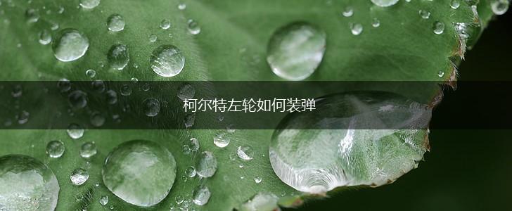 柯尔特左轮如何装弹,第1张