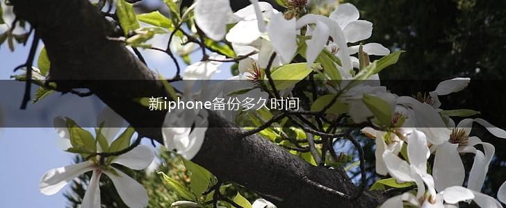 新iphone备份多久时间,第1张