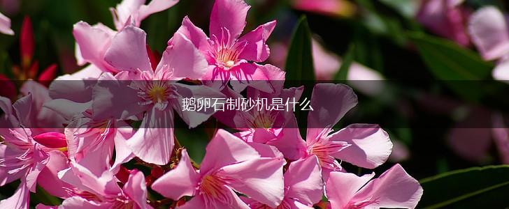 鹅卵石制砂机是什么,第1张