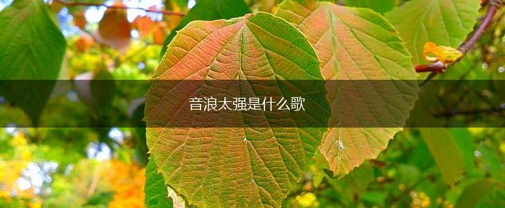 音浪太强是什么歌,第1张