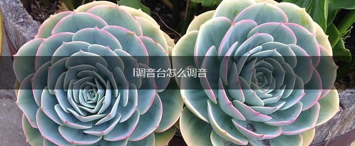 l调音台怎么调音,第1张