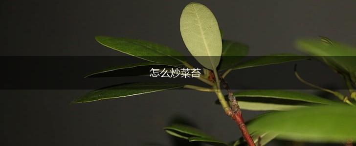 怎么炒菜苔,第1张