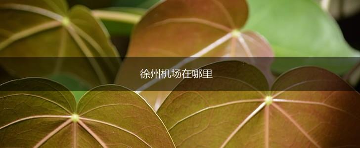 徐州机场在哪里,第1张