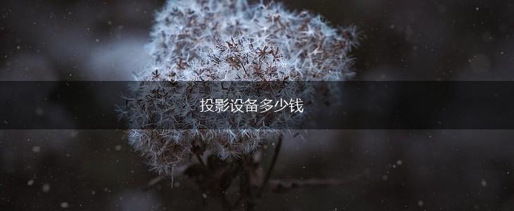 投影设备多少钱,第1张