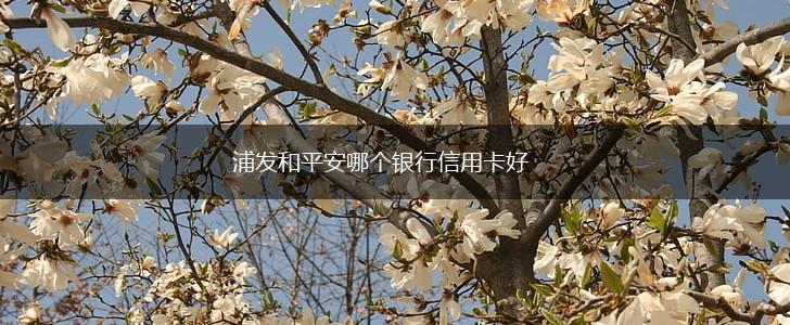 浦发和平安哪个银行信用卡好,第1张