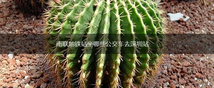 南联地铁站坐哪些公交车去深圳站,第1张