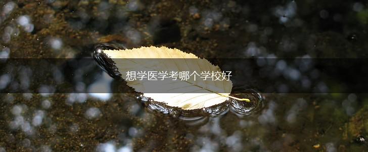 想学医学考哪个学校好,第1张