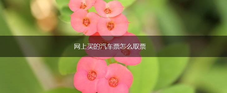 网上买的汽车票怎么取票,第1张