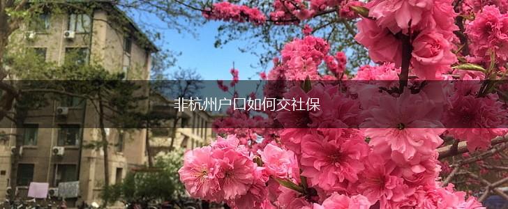 非杭州户口如何交社保,第1张