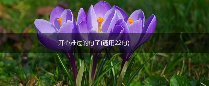开心难过的句子(通用22句),第1张