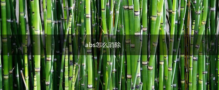 abs怎么消除,第1张