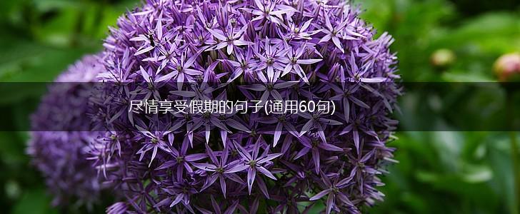 尽情享受假期的句子(通用60句),第1张