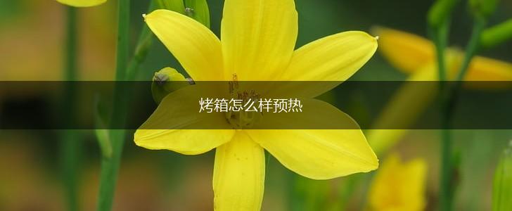 烤箱怎么样预热,第1张
