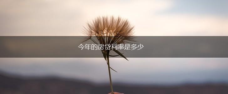 今年的房贷利率是多少,第1张