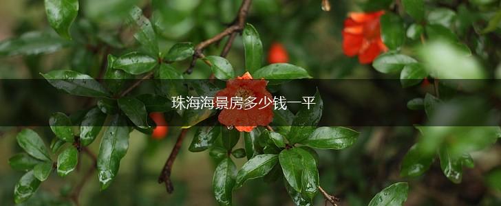 珠海海景房多少钱一平,第1张