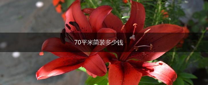 70平米简装多少钱,第1张