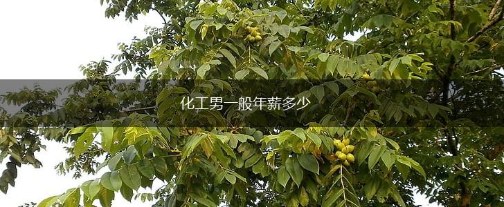 化工男一般年薪多少,第1张