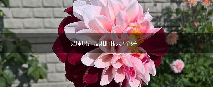 买理财产品和国债哪个好,第1张