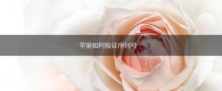 苹果如何验证序列号,第1张