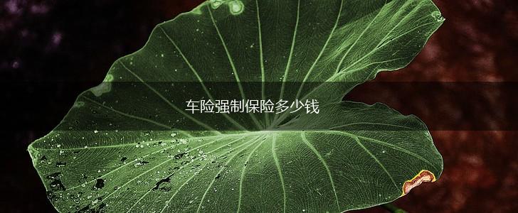 车险强制保险多少钱,第1张