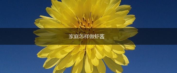家庭怎样做虾酱,第1张