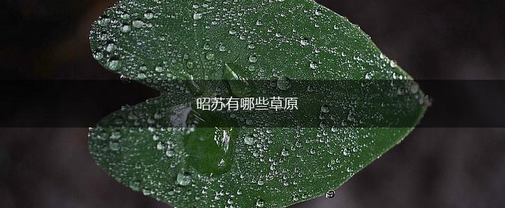 昭苏有哪些草原,第1张