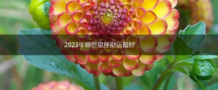 2023年哪些星座财运最好,第1张