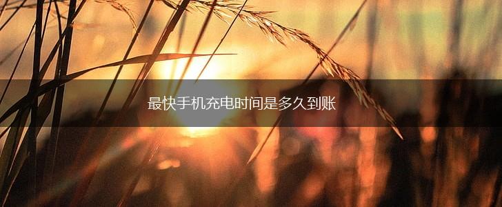 最快手机充电时间是多久到账,第1张