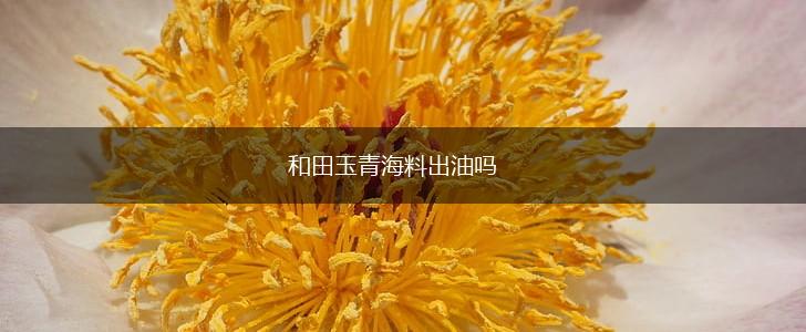 和田玉青海料出油吗,第1张