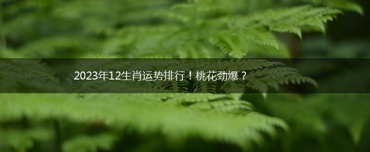 2023年12生肖运势排行！桃花劲爆？,第1张