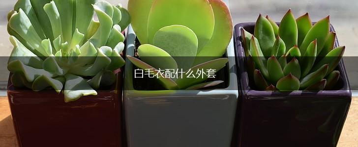 白毛衣配什么外套,第1张