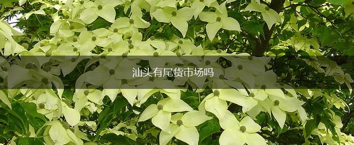 汕头有尾货市场吗,第1张