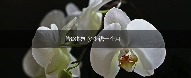 修路挖机多少钱一个月,第1张