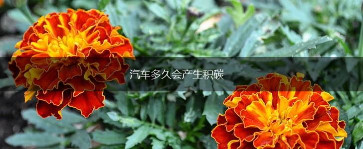 汽车多久会产生积碳,第1张