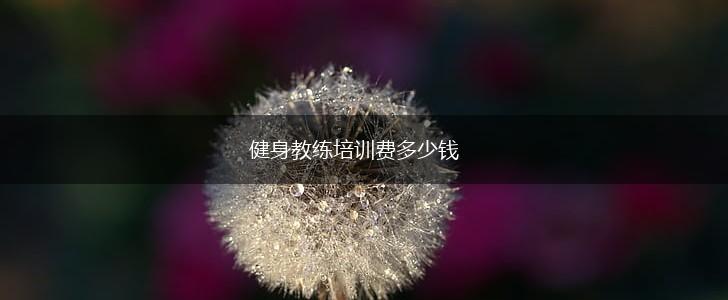 健身教练培训费多少钱,第1张