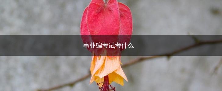 事业编考试考什么,第1张