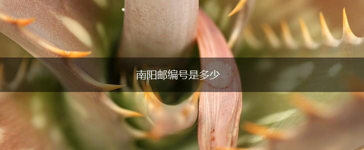 南阳邮编号是多少,第1张