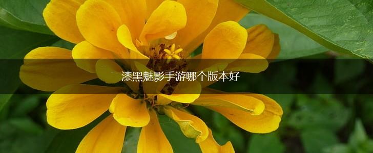 漆黑魅影手游哪个版本好,第1张