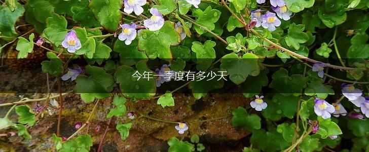 今年一季度有多少天,第1张