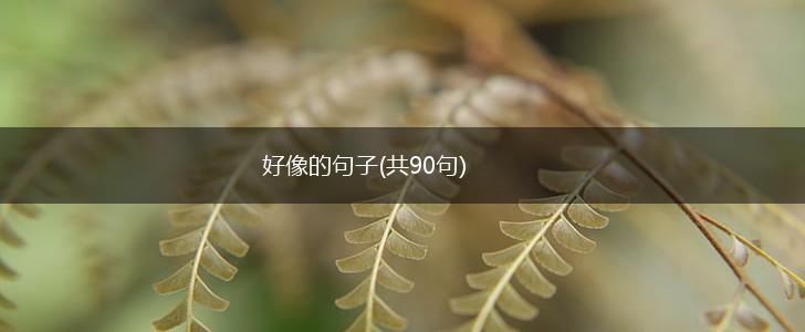 好像的句子(共90句),第1张