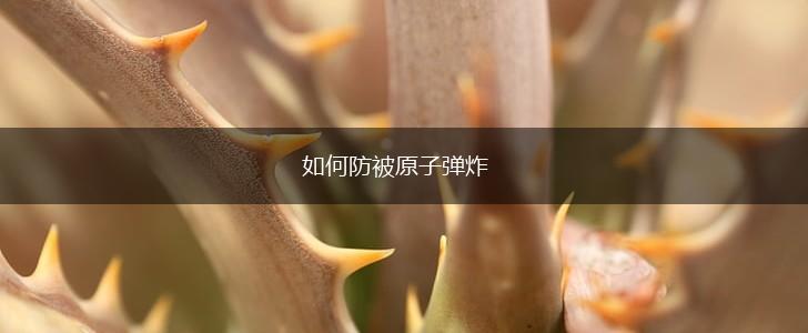 如何防被原子弹炸,第1张