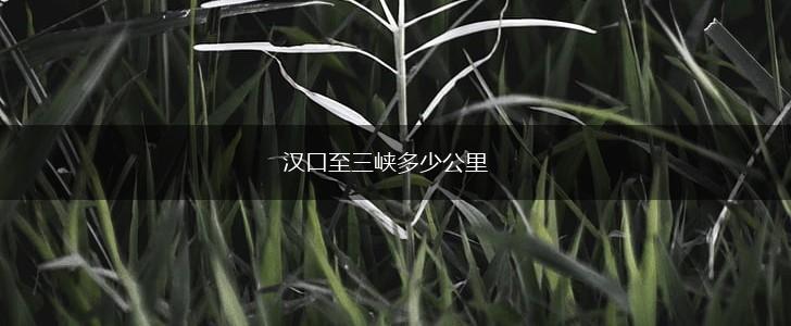 汉口至三峡多少公里,第1张