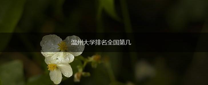 温州大学排名全国第几,第1张